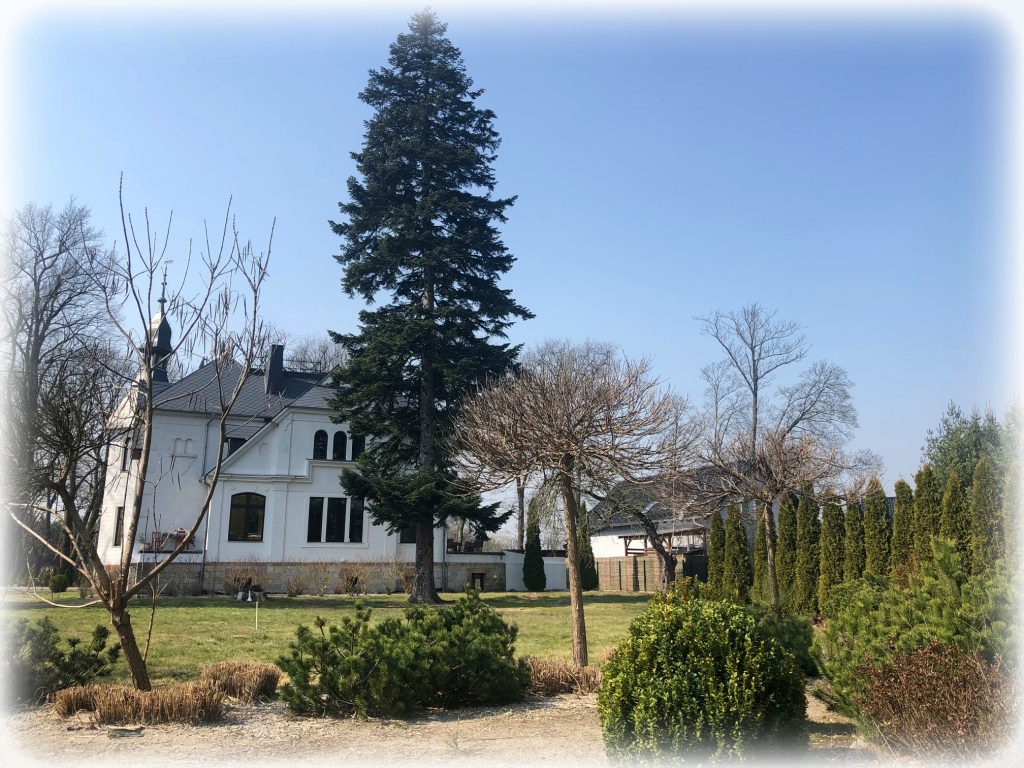 Widok domu opieki i rehabilitacji Villa Mick w Parowej od strony ogrodu.